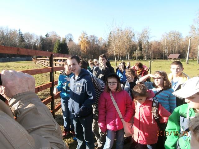 25.10.2013_WYCIECZKA DO BIAŁOWIEŻY36.JPG